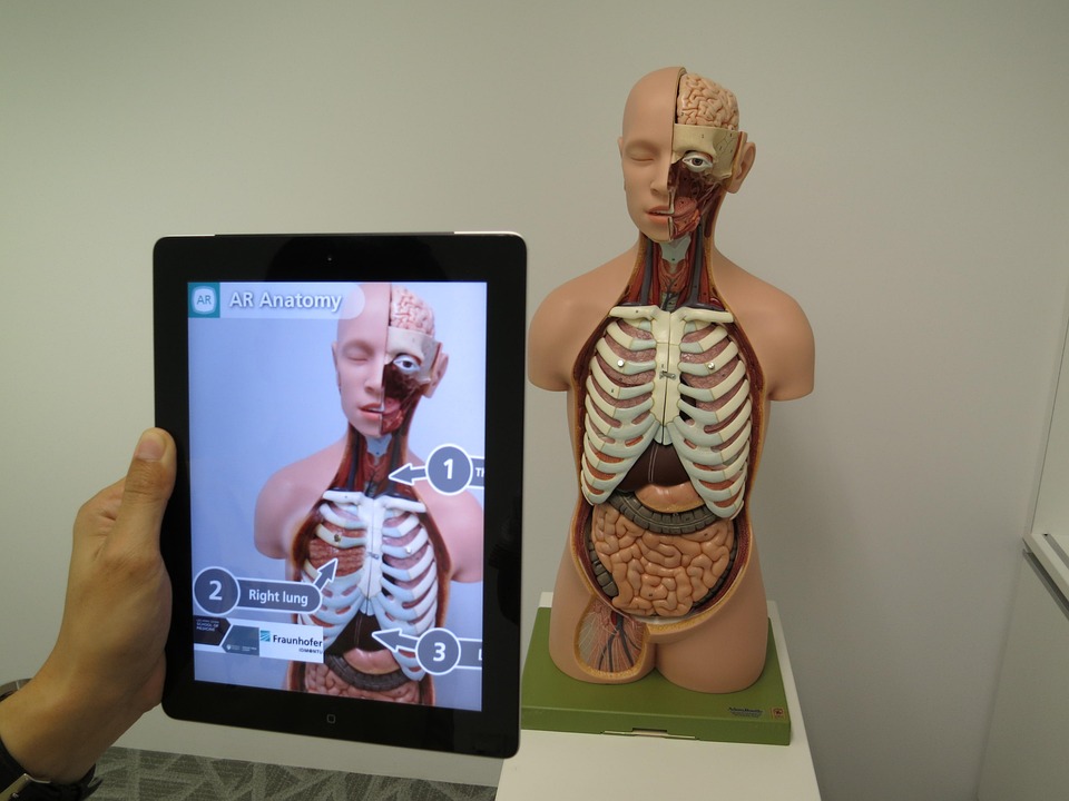 The Future is Here: How Augmented Reality is Transforming Everyday Life